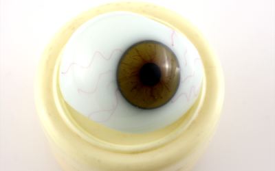 Antique Glass Eye