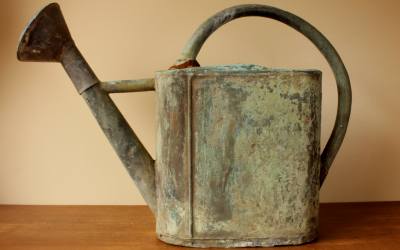 Batifoulier Besancon Watering Can