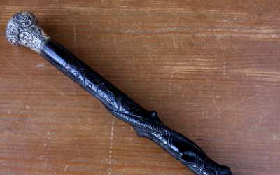 Silver Topped Snake Stick