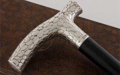 Brigg Silver Snakeskin Cane