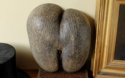 Coco De Mer Nut Half