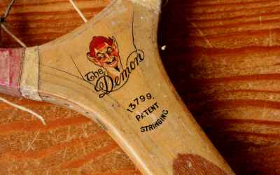 Demon Fishtail Tennis Racket
