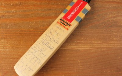 Hampshire 1993 Bat