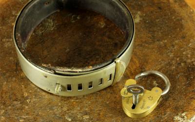 Large Victorian Dog Collar
