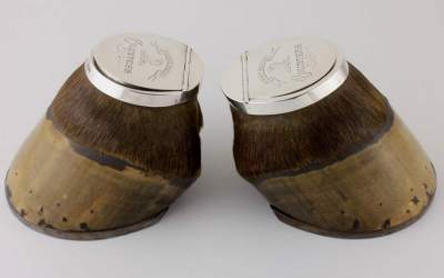 Silver Hoof Inkwell Snuffbox