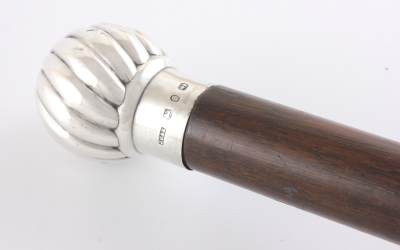 Silver Twist Walking Cane