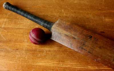 Whytsdale Willow Cricket Bat